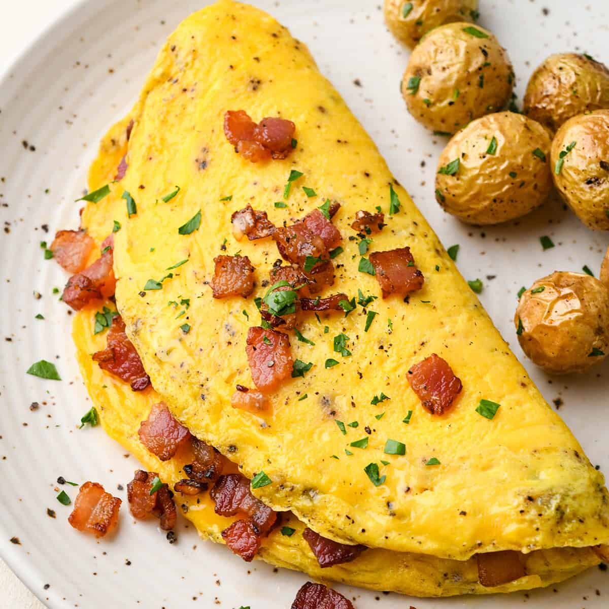 Egg Omelet